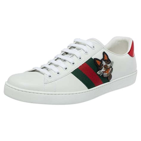 gucci sneakers dog|leather gucci sneakers.